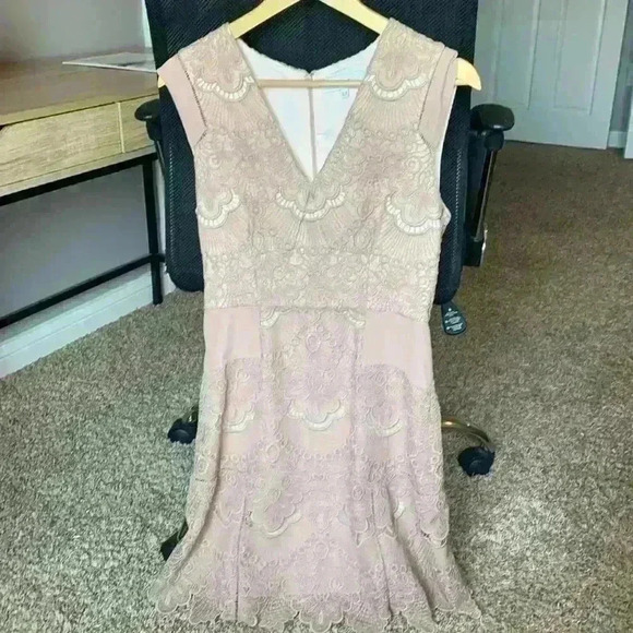Reiss size 6 Gemina nude beautiful lace lined cocktail dress. - Picture 2 of 9